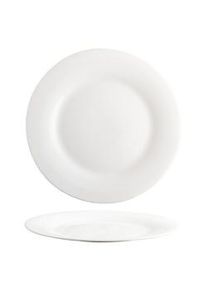 Cok Plato Llano 25 cm Elba 36 unidades
