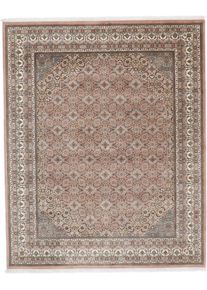 Bidjar Tappeto 250 x 200 (Indian) Annodato A Mano