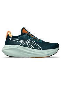 asics Gel-Nimbus 27 TR Running shoes Men (10, multi)