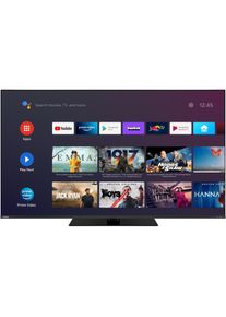 Toshiba 65QA7D63DG (65", LED, 4K, 2023), TV, Schwarz