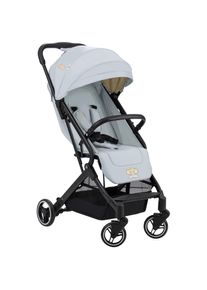 hauck , Kinder-Buggy »Travel N Care«, 25 kg, Reisebuggy, leicht; bis 25 kg belastbar , simba grey