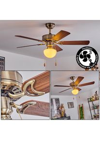 hofstein Ventilateur de plafond Apiao Brun, Brun clair, Couleur bois, Argenté, 1 lumière