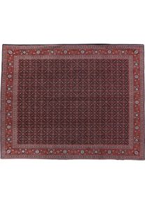 Tabriz Tappeto 310x250 (Iran) Annodato A Mano