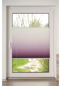 K-home Plissee »Farbverlauf Sunrise« Lichtschutz ohne Bohren verspannt in rot