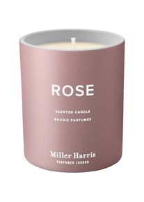 Miller Harris Kaarsen Rozengeurkaars Unisex 220 g