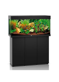 JUWEL Rio 180 LED Komplett Aquarium mit Unterschrank SBX grau