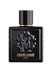 Roberto Cavalli Uomo Eau de Toilette Spray Herenparfum Heren 100 ml