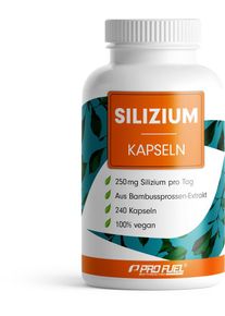 ProFuel Silizium, 240 Kapseln