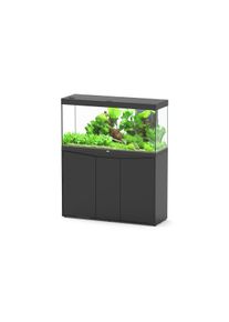 Aquatlantis Aquarienkombination Splendid Ultra 120 240l Schwarz Kombi