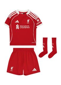 adidas Performance Tr&eacute;ningruha 'FC Liverpool 25/26' Fi&uacute;k piros , M&eacute;ret 98