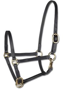 Star Leder Fohlenvorführhalfter, schwarz, Pony