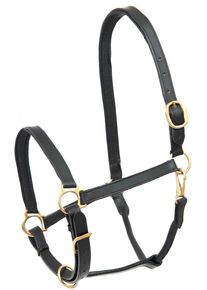 Star Robust Lederhalfter, schwarz, Pony
