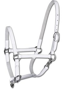 Star Leder Fohlenvorführhalfter, weiß, Pony