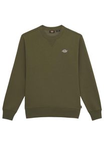 Dickies Summerdale Sweatshirt Trui Heren (M |olijfgroen)