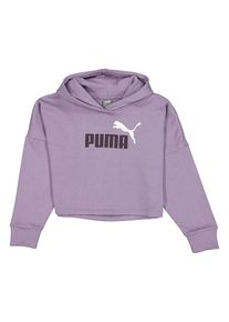 Puma Hoodie "ESS" paars - 38% | Maat: 176 |