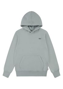 Levi's Kids Hoodie grijs - 52% | Maat: 110 |