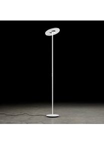 Holtkötter Holtkötter Nova Lampadaire à éclairage indirect, LED, 9906-2-8,