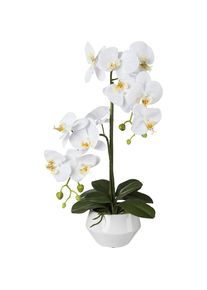 Kunstmatige orchidee Phalaenopsis, Real Touch, keramiekpot, hoogte 520 mm, wit