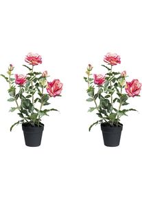 Kunstmatige plant rozenstruik, kunststofpot, VE = 2 stuks, hoogte 580 mm, roze