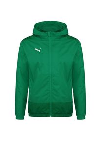 Puma Sportjacke 'TeamGoal 23' Herren grün Größe L Unifarben