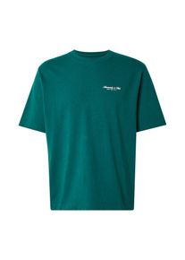 Abercrombie & Fitch Abercrombie & Fitch, Mænd, Bluser & t-shirts, Gran / Hvid, Størrelse L