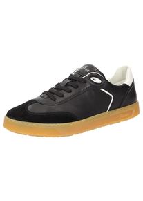 Sioux Baskets basses ' Tedroso-708 ' Homme noir taille 39