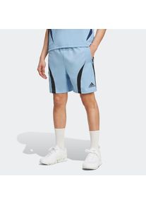 adidas originals , Shorts »TEAMGEIST SHO«, (1 tlg.) , Ash Blue / Black , N-Gr , XL -N-Gr , XL , Shorts mit Stilanleihen an den Fußball der 00er Jahre.