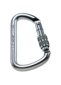 C.A.M.P. - Steel D - Stålkarabiner, grått