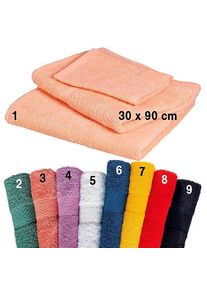 Fripac-Medis Kabinett Frottier Energiespar-Handtuch