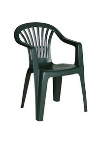 IPAE - Silla Resina Monobloc Respaldo Bajo Verde Lyra