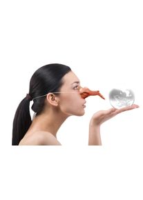 Boland Ancoraggio delle streghe in gomma (10er Multipack)