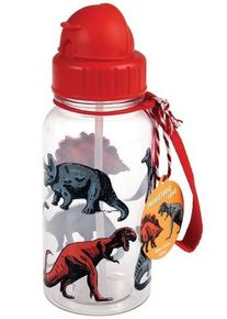 Gourde Dino 500ml