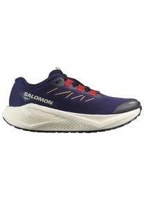 Salomon Women's Aero Blaze 3 Grvl Running shoes Women (40 2/3, multi)