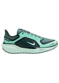Nike Women's Pegasus 41 GTX Road Running Shoes Running shoes Women (42, multi)
