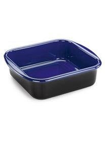 Riess emaljeret stegepande