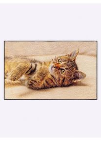 wash+dry by Kleen-Tex unisex Voetmat in ecru/bruin ,maat 40x60 cm - rechthoekig, Witt, 100% Polyamide. Achterzijde: 100% Elastiek