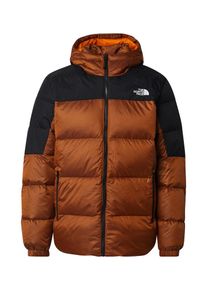 The North Face Outdoorjacke 'Diablo' Herren braun Größe S Color-Blocking