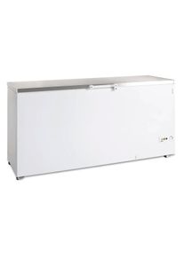 Congélateur bahut FR 605 S | Professionnel | HoReCa | CHR