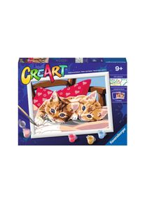 Ravensburger Malen nach Zahlen »MnZ Serie D Two Cuddly Cats«