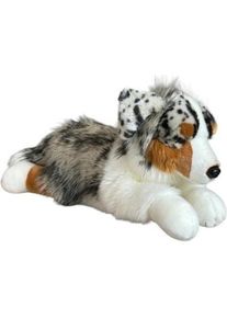Dubi Australischer Schäferhund liegend, 61 cm (61 cm)
