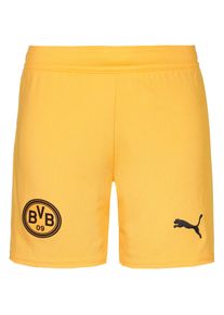 Puma Borussia Dortmund 25-26 Heim Shorts Kinder, Größe: 140