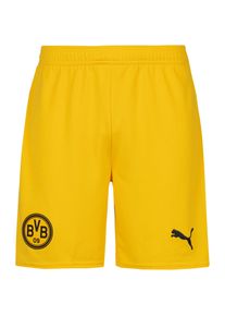 Puma Borussia Dortmund 25-26 Funktionsshorts Herren, Größe: L
