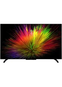 Panasonic TV-48Z80BEZ (48", Z80B, OLED, 4K, 2025), TV, Schwarz