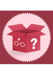 Surprise box for Harry Potter fans