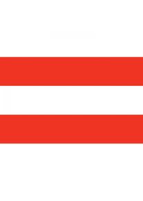 Patriotic Stripes Backdrop