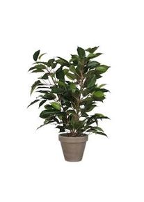 Mica Decorations Ficus Natasja Planta Artificial en maceta Stan 40 x 30 cm Verde