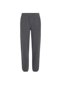 Icebreaker Merino Blend 800 Realfleece Classic Pile Pants Walking trousers Men (M, blue/grey)