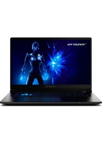 Erazer Defender 17 P1 Core Gaming Laptop (17.30", Intel Core 7 240H, 32 GB, 2000 GB, DE), Notebook, Grau