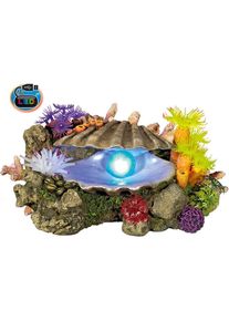 Nobby Aqua Ornaments MUSCHEL mit Pflanzen mit LED (Dekoration, sonstige Gegenstände), Aquarium Dekoration