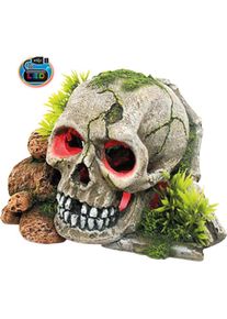 Nobby Aqua Ornaments SCHÄDEL mit Pflanzen, mit LED (sonstige Gegenstände), Aquarium Dekoration